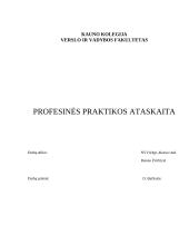 Profesinės praktikos ataskaita UAB ,, Lietuvos sanatorija“