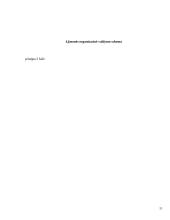 Profesinės praktikos ataskaita UAB ,, Lietuvos sanatorija“ 11 puslapis