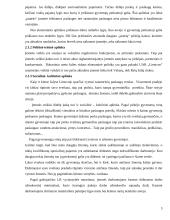 Profesinės praktikos ataskaita UAB ,, Lietuvos sanatorija“ 5 puslapis