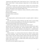 Profesinės praktikos ataskaita UAB ,, Lietuvos sanatorija“ 10 puslapis