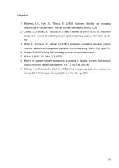 Diferenciacijos strategija 12 puslapis