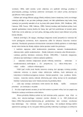 Diferenciacijos strategija 6 puslapis