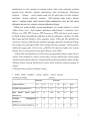 Diferenciacijos strategija 7 puslapis