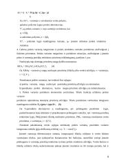 Diferenciacijos strategija 9 puslapis