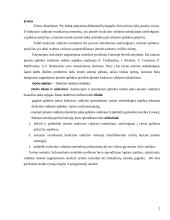 Funkcinė valdymo struktūra 2 puslapis