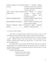 Funkcinė valdymo struktūra 13 puslapis