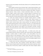 Funkcinė valdymo struktūra 15 puslapis