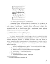 Funkcinė valdymo struktūra 18 puslapis