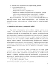 Funkcinė valdymo struktūra 6 puslapis