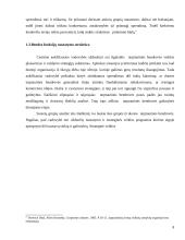 Funkcinė valdymo struktūra 8 puslapis