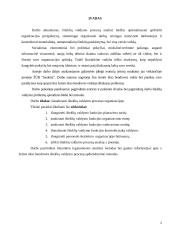 Išteklių valdymo procesai organizacijoje 2 puslapis