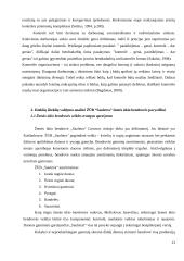 Išteklių valdymo procesai organizacijoje 13 puslapis