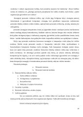 Išteklių valdymo procesai organizacijoje 19 puslapis