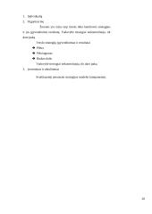 Išteklių valdymo procesai organizacijoje 20 puslapis