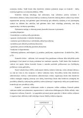 Išteklių valdymo procesai organizacijoje 10 puslapis