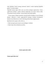 Turizmo agento darbas 2 puslapis