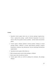 Turizmo agento darbas 13 puslapis