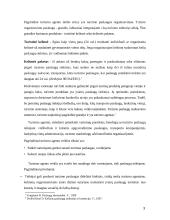 Turizmo agento darbas 3 puslapis