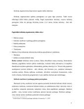 Turizmo agento darbas 7 puslapis