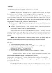 Biudžetinės kultūros įstaigos tikslo, vizijos ir misijos analizė 2 puslapis