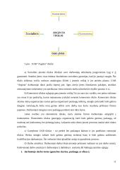 Biudžetinės kultūros įstaigos tikslo, vizijos ir misijos analizė 11 puslapis