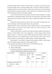 Biudžetinės kultūros įstaigos tikslo, vizijos ir misijos analizė 18 puslapis