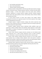 Biudžetinės kultūros įstaigos tikslo, vizijos ir misijos analizė 6 puslapis