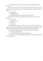 Biudžetinės kultūros įstaigos tikslo, vizijos ir misijos analizė 7 puslapis