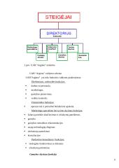 Biudžetinės kultūros įstaigos tikslo, vizijos ir misijos analizė 9 puslapis