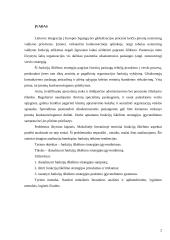 Funkcijų iškėlimo strategijos įgyvendinimas 2 puslapis