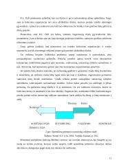 Funkcijų iškėlimo strategijos įgyvendinimas 11 puslapis