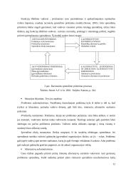 Funkcijų iškėlimo strategijos įgyvendinimas 12 puslapis