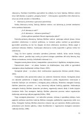 Funkcijų iškėlimo strategijos įgyvendinimas 13 puslapis