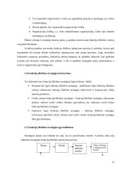 Funkcijų iškėlimo strategijos įgyvendinimas 15 puslapis