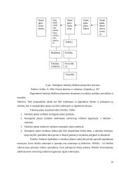 Funkcijų iškėlimo strategijos įgyvendinimas 16 puslapis
