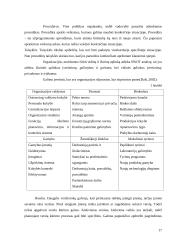 Funkcijų iškėlimo strategijos įgyvendinimas 17 puslapis