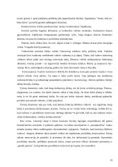 Funkcijų iškėlimo strategijos įgyvendinimas 19 puslapis