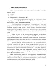 Funkcijų iškėlimo strategijos įgyvendinimas 3 puslapis