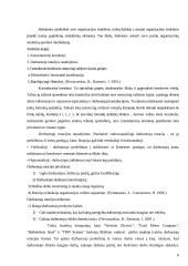 Funkcijų iškėlimo strategijos įgyvendinimas 6 puslapis