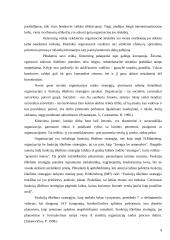 Funkcijų iškėlimo strategijos įgyvendinimas 9 puslapis