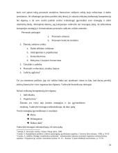 Valdymo ypatumai duonos gamybos įmonėje UAB „Gudobele“ 14 puslapis