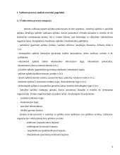 Valdymo ypatumai duonos gamybos įmonėje UAB „Gudobele“ 4 puslapis