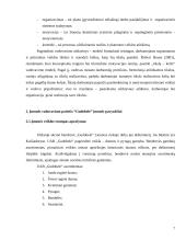 Valdymo ypatumai duonos gamybos įmonėje UAB „Gudobele“ 7 puslapis