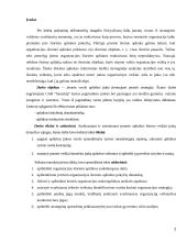 UAB "Samskip" strateginė veiklos analizė 2 puslapis