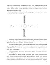 UAB "Samskip" strateginė veiklos analizė 11 puslapis