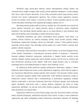 UAB "Samskip" strateginė veiklos analizė 13 puslapis