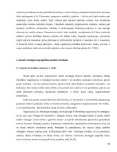 UAB "Samskip" strateginė veiklos analizė 20 puslapis