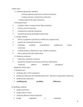 UAB "Samskip" strateginė veiklos analizė 6 puslapis