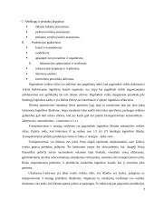 UAB "Samskip" strateginė veiklos analizė 7 puslapis