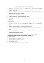 Prieš diplominės praktikos UAB „Granulita“ ataskaita 12 puslapis